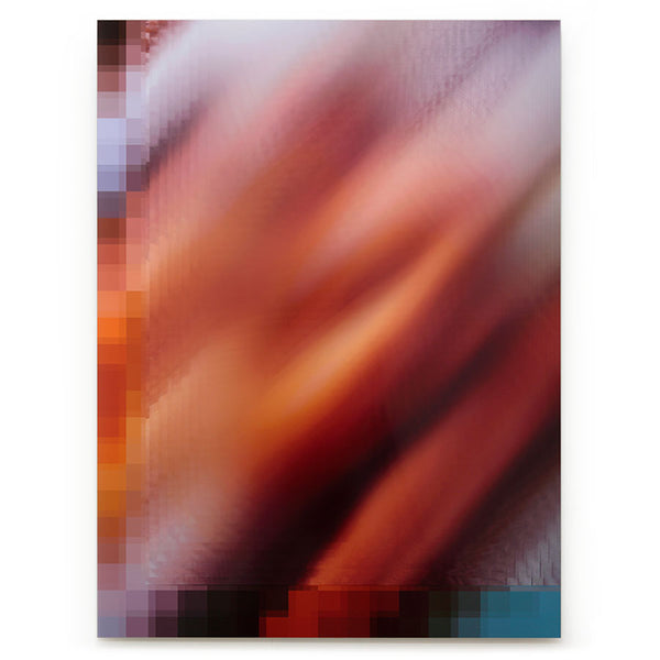 Freddy and Gator, 2022